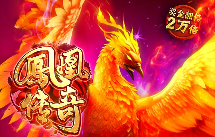 中欧体育kok入口app
